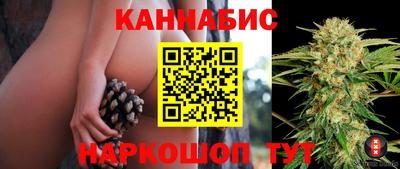 прущие крисы Нарткала