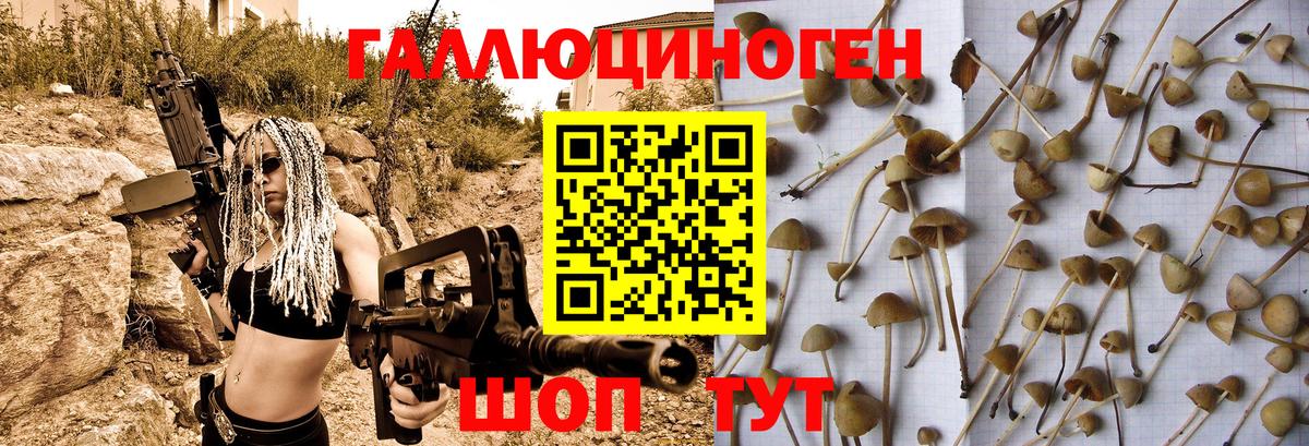 Галлюциногенные грибы MAGIC MUSHROOMS  Псилоцибиновые грибы мицелий  Вход с VPN  Тверь 