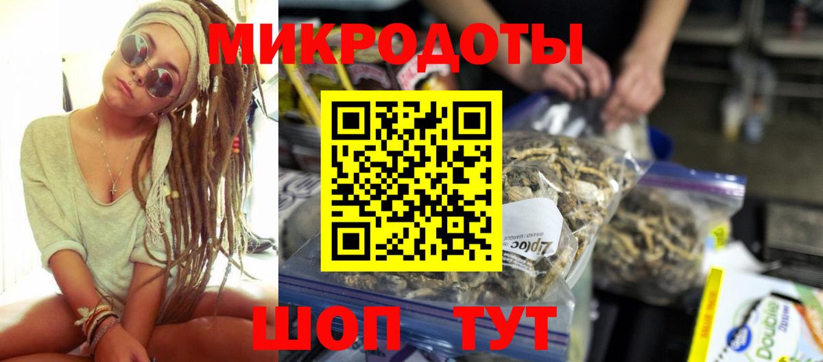 Псилоцибиновые грибы Cubensis Тверь