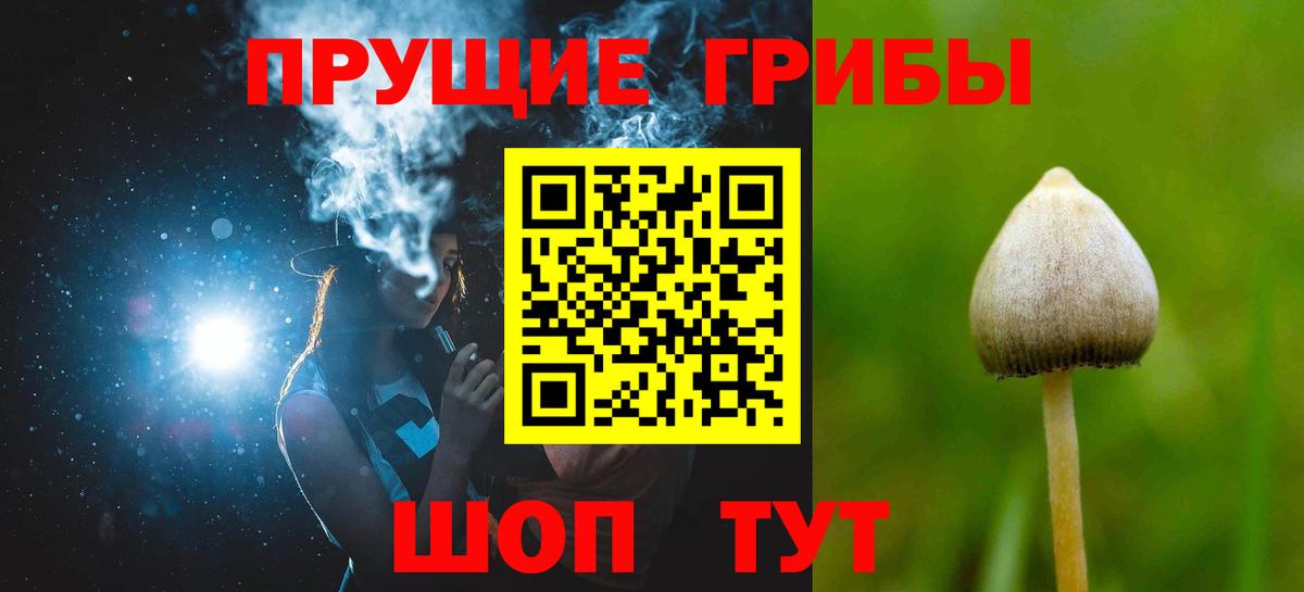 МЕФ Тверь